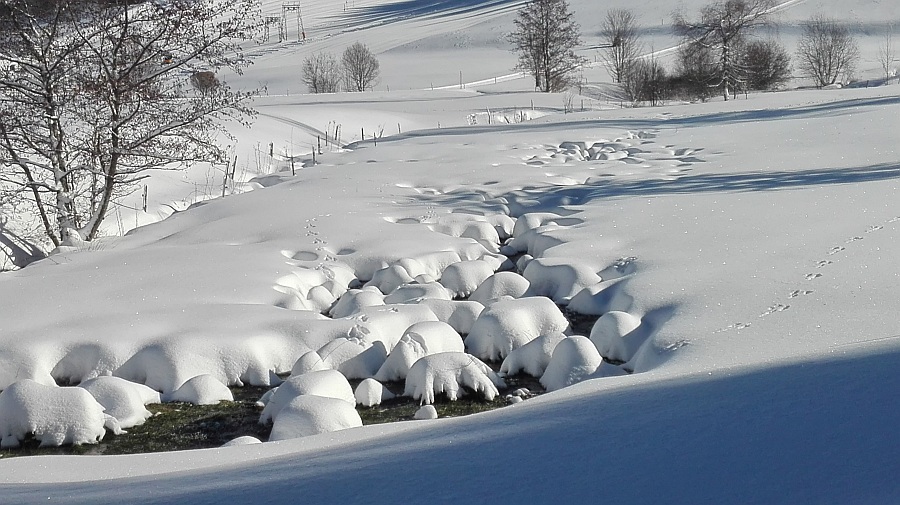 Spuren im Schnee